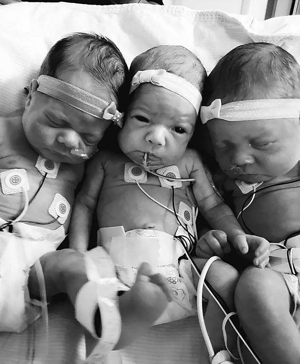 Meet the The Fitts Family