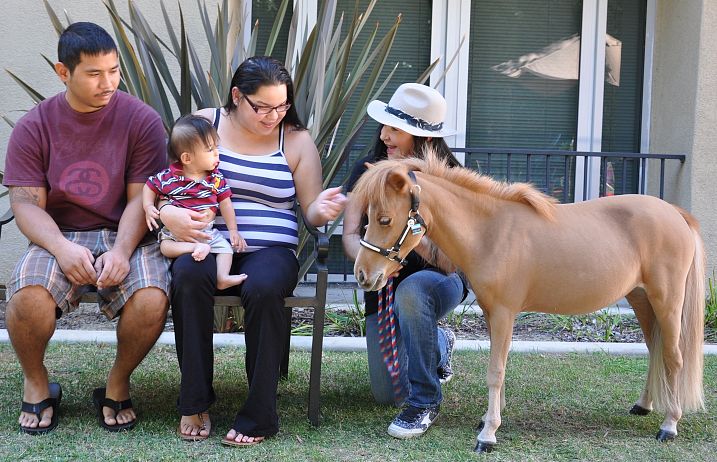 Kids and a Pony at LARMH